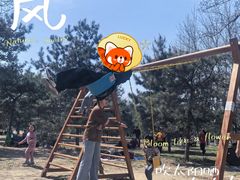 -大兴滨河森林公园