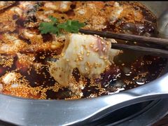 红汤鱼火锅-川渔居—鱼火锅(八方汇店)