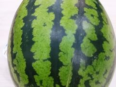-庞各庄翠芳园西瓜蔬菜基地采摘园