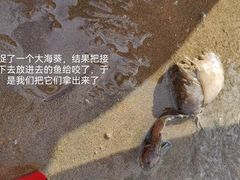 -南长涂沙滩