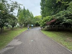 -梁鸿国家湿地公园