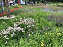 -赛纳河休闲商务会馆(天宁寺店)