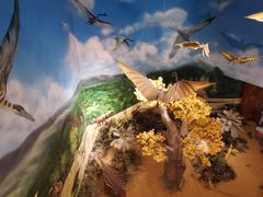 -安徽省地质博物馆