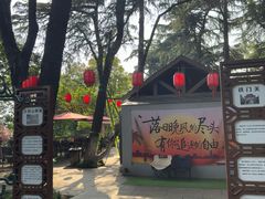 -龟山风景区-龟山电视塔