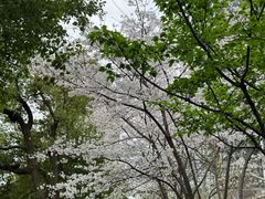 -西北湖绿化广场