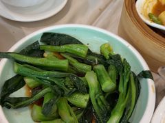 -益健美食大广场(北岭店)