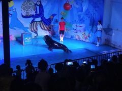 -乌鲁木齐海洋馆