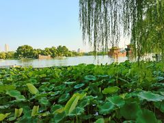 -济南大明湖景区