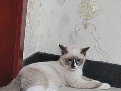 -奈雪的茶(时代天街店)