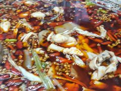 -蜀渔轩美蛙鱼火锅(郫筒店)
