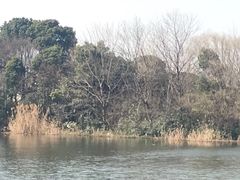 -新江湾城公园