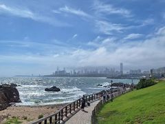 -小麦岛公园