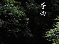 -龙苍沟森林公园