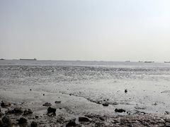 -吴淞炮台湾湿地森林公园烧烤区