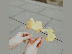 -宝通禅寺