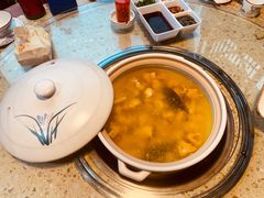-先机泉水鸡汤(南山老君洞店)