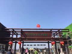 -杭州湾海上花田景区