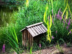 -天津东丽湖风景区