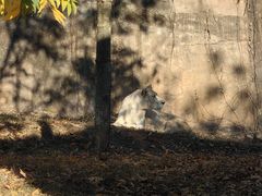 -杭州野生动物世界