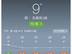 -鹍记特色牛杂面
