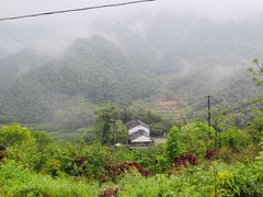 -四明山国家森林公园