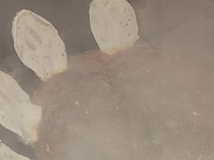 -地锅公社·现炒地锅鸡·地锅鱼·夜宵(罗锦路店)