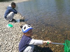 -永定河休闲森林公园