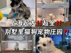 -翊宠yipet猫狗购宠庄园