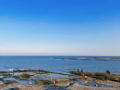 -日照海滨国家森林公园