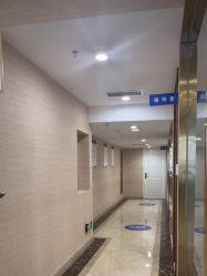 -碧莲盛·不剃发植发