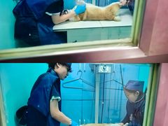 -哆趣宠物医院·眼科·内镜·急重症转诊中心(上海店)