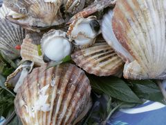 -幸福姐海鲜大排档