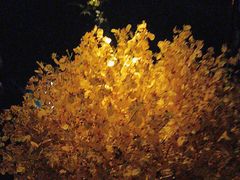 -泰之源足浴会所(玉环店)