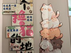 -唐小姐の私宠·宠物洗护美容·撸猫馆·购宠(周浦万达旗舰店)