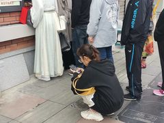 -邓氏兔头