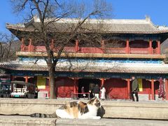 -潭柘寺景区
