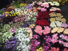 -双季花艺园艺市场(浦东店)