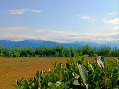 -秦岭风景区
