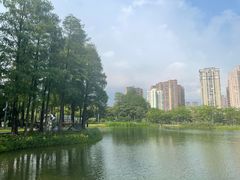 -四海公园(南山区)