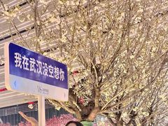 -西北湖绿化广场