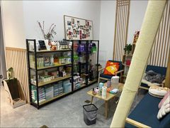 -山宅一喵德文卷毛猫舍
