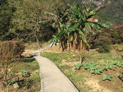 -广州市石门国家森林公园
