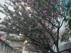 -永丰面馆(汉口路店)