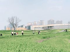 -三圣花乡旅游区