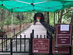 -合肥滨湖国家森林公园