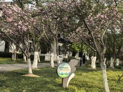 -范蠡湖公园