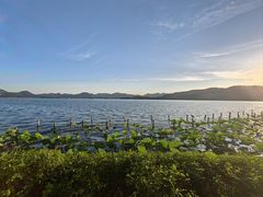 -湖畔居茶楼(湖滨店)