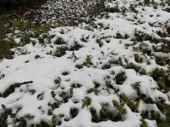 -黑龙江中医药大学