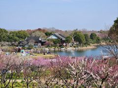 -上海海湾国家森林公园