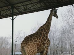 -秦皇岛野生动物园